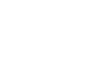 VESL